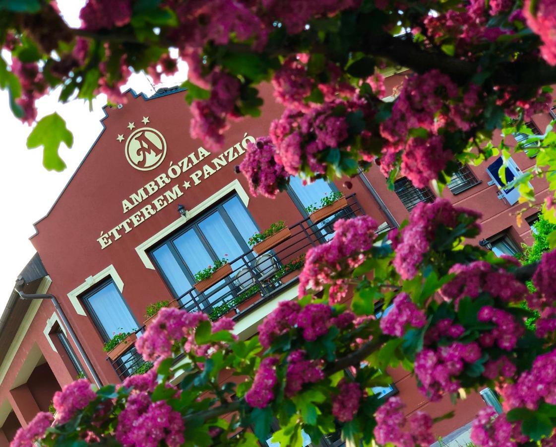Ambrozia Etterem Es Panzio Bed & Breakfast 4*